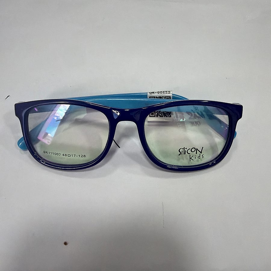 Silicon SK1110002